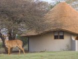Zululand Safari Lodge
