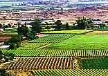 Upington