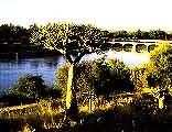 Upington