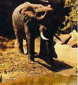 Valley of the Olifants Route