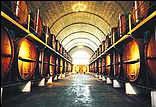 Cape Winelands