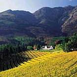 Cape Winelands