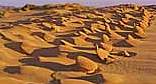 Witsand Nature Reserve