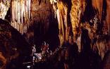 Wonder Cave Kromdraai