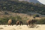 Damaraland Camp