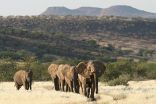 Damaraland Camp
