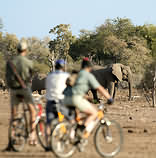 Mashatu Cycling