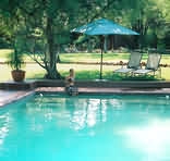 Mashatu Main Camp Pool