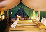 Mashatu Tent Camp - Tent Interior