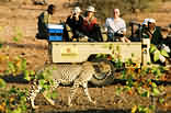 Mashatu Game Drive