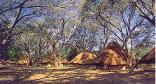 Ruckomechi Camp