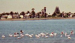 Walvis Bay