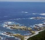 Coral Tree Cottages