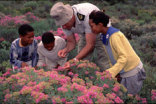 De Hoop Nature Reserve