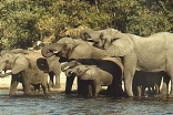 Berg en Dal Restcamp - Kruger Park