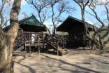 Safari Tent
