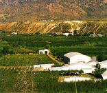 Calitzdorp