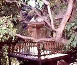 Sewula Gorge Lodge