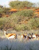 Kuthula Farm Lodge