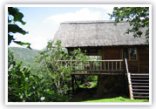 Masianoke Log Cabin 