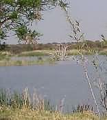 Mafikeng