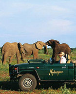 Madikwe Game Reserve