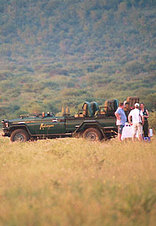 Madikwe Game Reserve