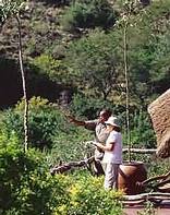 Lentaba Camp