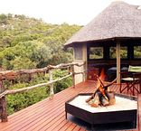 Tree Tops Camp