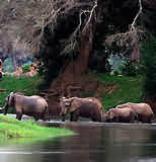 Mana Pools National Park