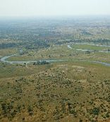 Selinda Camp