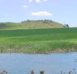 Trout Stream