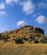 Mapungubwe National Park