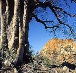 Mapungubwe National Park