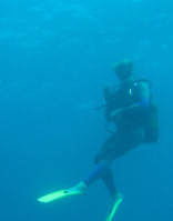 Dugong Beach Lodge