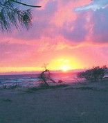 Vilanculos Beach Lodge