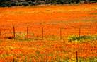 Namaqua Game Lodge