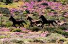 Namaqua Game Lodge