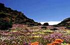 Namaqua Game Lodge