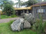 African Lily Lodge