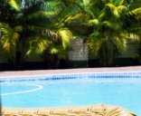African Lily Lodge