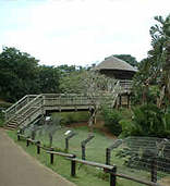 Crocworld