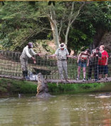 Crocworld