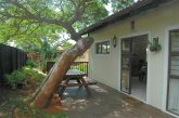 Crooked Tree Cottage