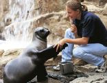 Two Oceans Aquarium