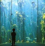 Two Oceans Aquarium
