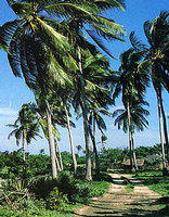 Pemba