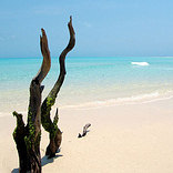 Pemba