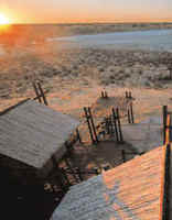 Bitterpan Dune Camp - Kgalagadi Park