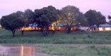 MalaMala Camp